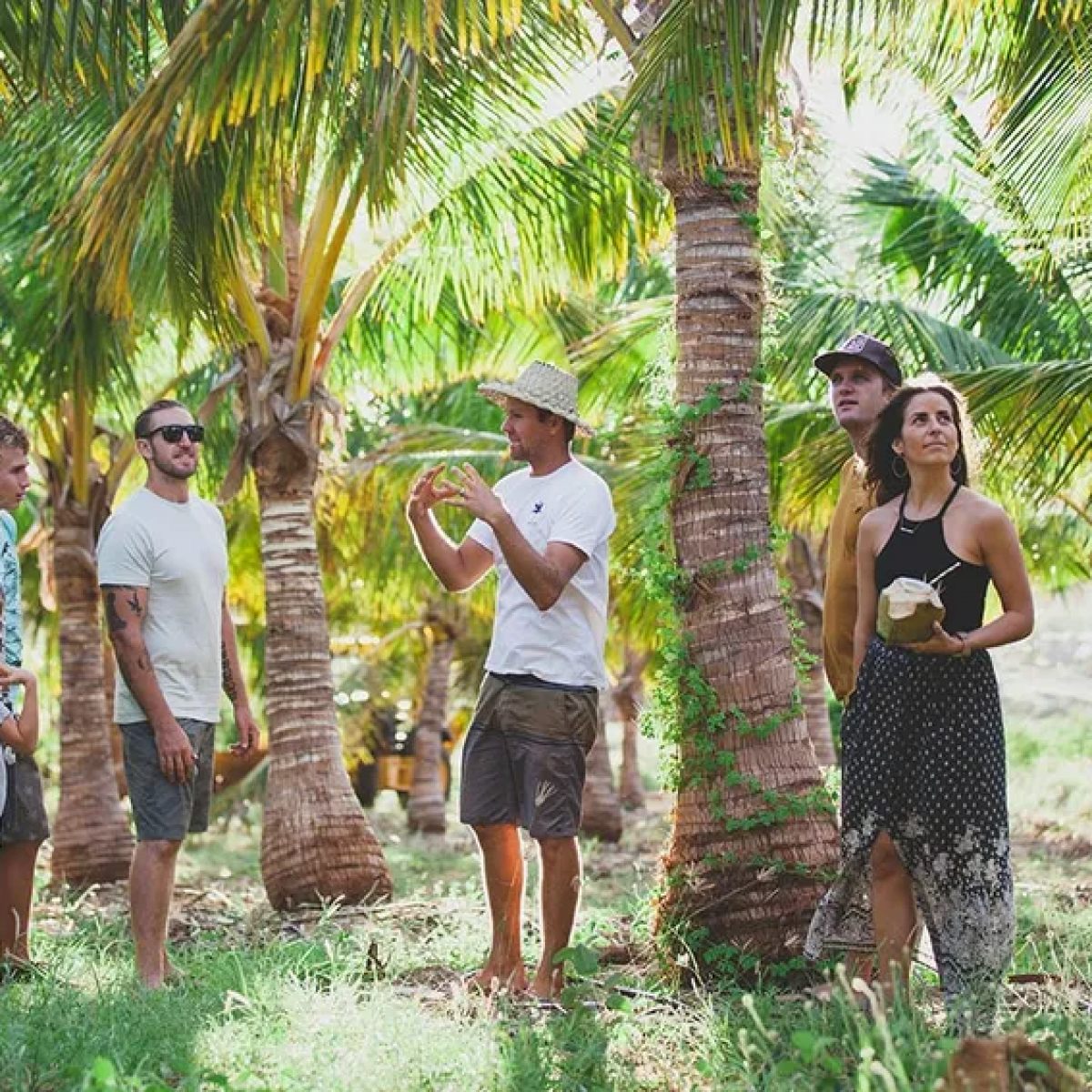 group of people standing in a palm tree coconut farm listening to tour guide