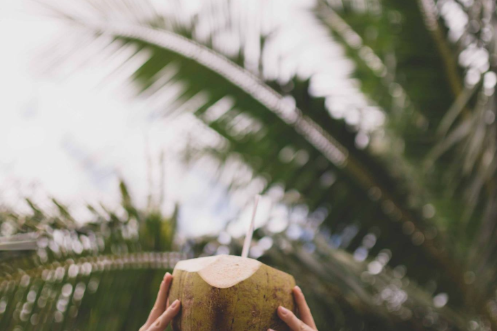 person holding up a coconut with wooden straw in the air