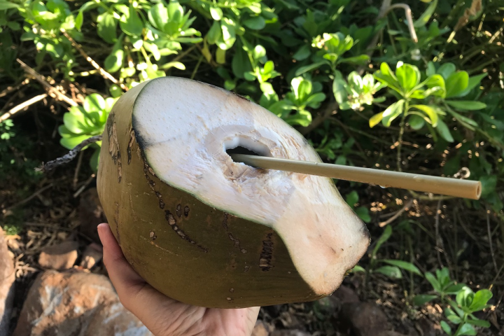 top view of an open coconut and wooden straw