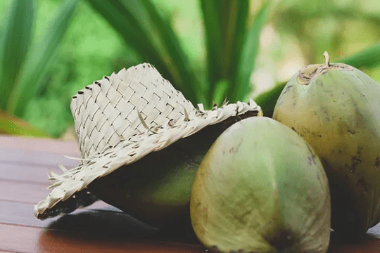 seagrass hat top green coconuts on a table