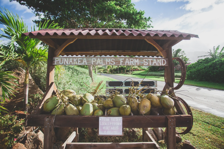Punakea Palms coconut fruit farm stand